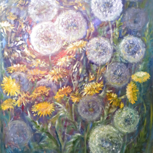Dandelions 70x50