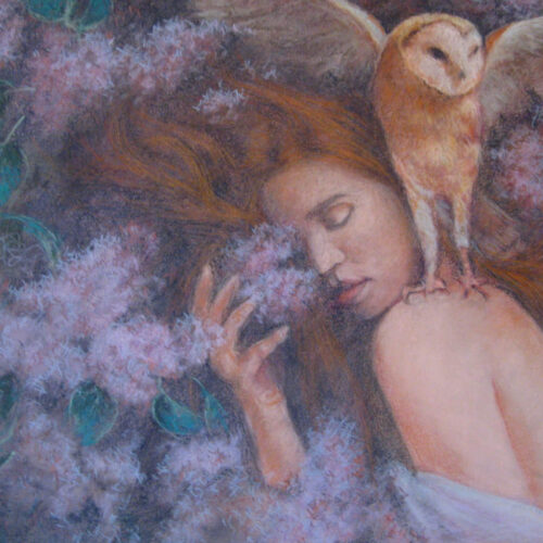 Girl with the owl Pastel 50cmx60cm £175