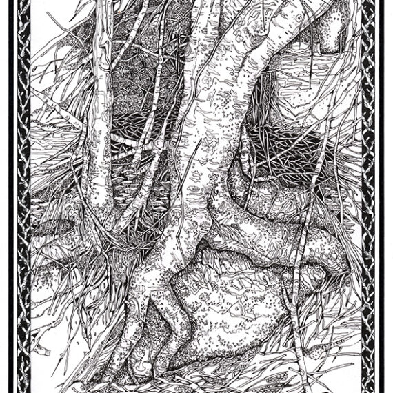 Trees from the forest near Portmeirion 21 x 30 cm