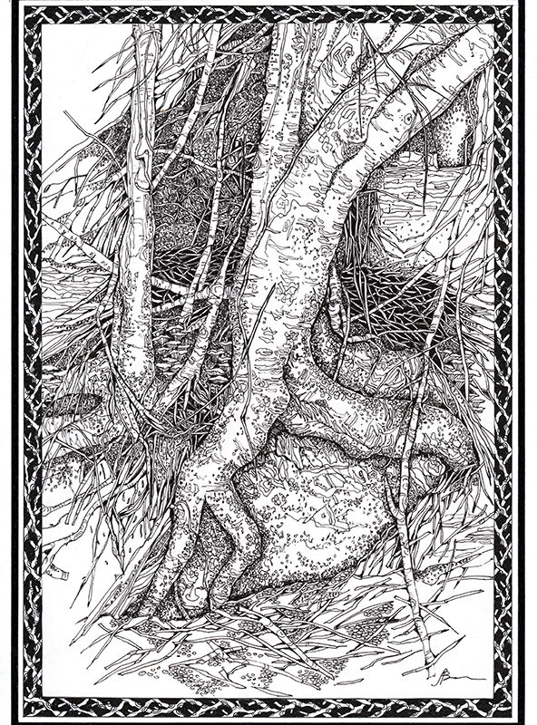 Trees from the forest near Portmeirion 21 x 30 cm