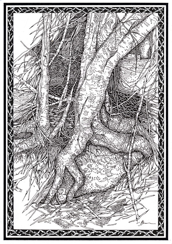 Trees from the forest near Portmeirion 21 x 30 cm